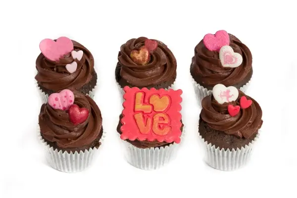 Love Chocolate and You Cupcakes