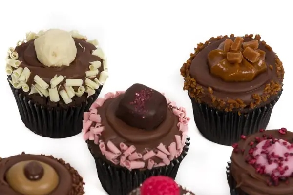 Variety Belgian Chocolate Cupcakes - Box of 9