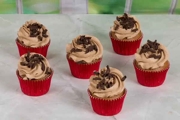 Dairy and Gluten Free Chocolate Cupcake Indulgence